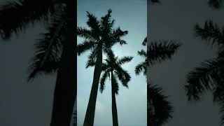 Download lagu atraksi helikopter TNI AU mp3