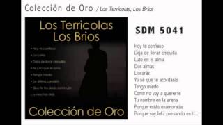 Olvidarte Nunca  - Los Terrícolas