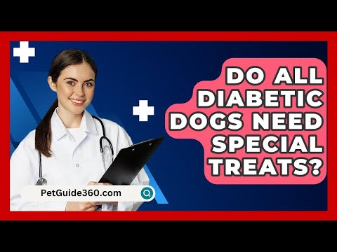 Do All Diabetic Dogs Need Special Treats? - PetGuide360.com