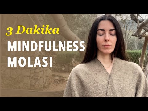 3 min Mindfulness Meditation | Günsu Engin