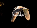 Dark Night by James Armstrong