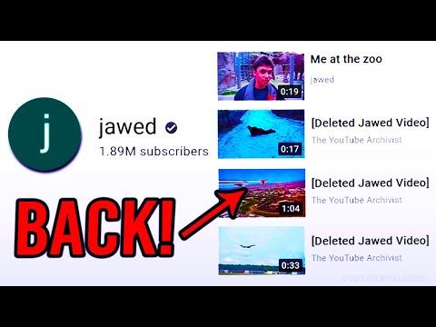 Jawed's Deleted Videos Are BACK? (revealed!)