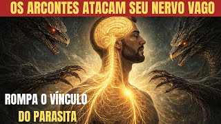 Jesus Ensinou aos Escolhidos o Poder do Nervo Vago para COMBATER os Arcontes (Ative-o Agora)