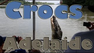 Jumping Crocodiles in the Adelaide River, Northern Territory