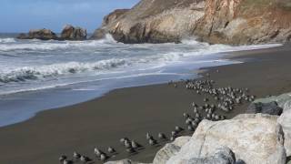 SUMMER BREEZE Seals and Crofts