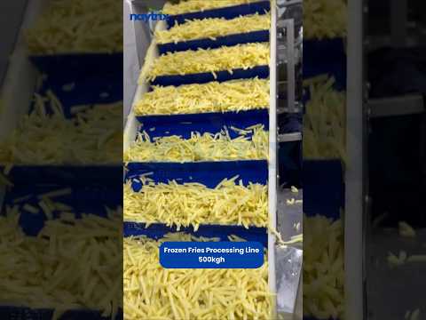 French Fry Making Machine