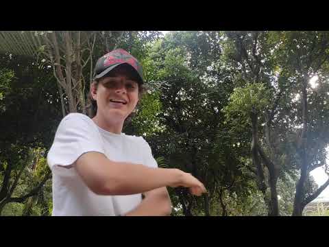 Vendetta Vs. Sebastian - Canasta Battles (Random Battles).