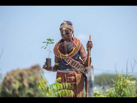 Introducing Restore Local: Big Change Starts Small