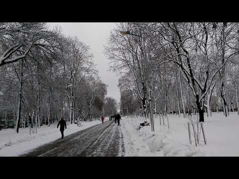 В одном из парков Чернигова 13.12.2018.