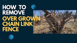 032 - Everyday Home Repairs | Removing Super Overgrown Chain Link Fence with Trees Growing In It Pt1