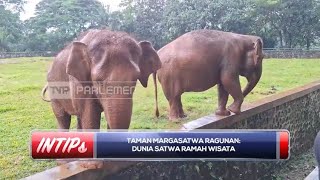 Taman Margasatwa Ragunan: Dunia Satwa Ramah Wisata - INTIPS