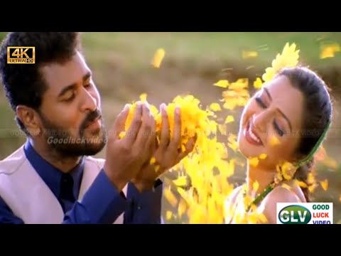 மஞ்ச காட்டு மைனா பாடல் | Manja Kaatu Maina song | Yuvan Shankar Raja | Prabhu Deva Love song .