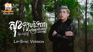 សុខទុក្ខយ៉ាងណាក្រោយបែកគ្នា | ស៊ឹម ច័ន្ទពន្លឺ | Lip-Sync Version | RHM