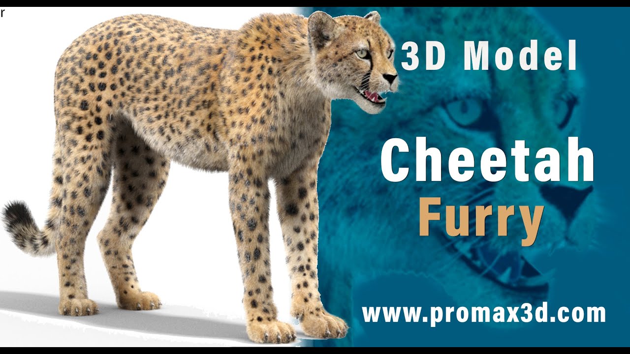 Cheetah Fur 3D Model
