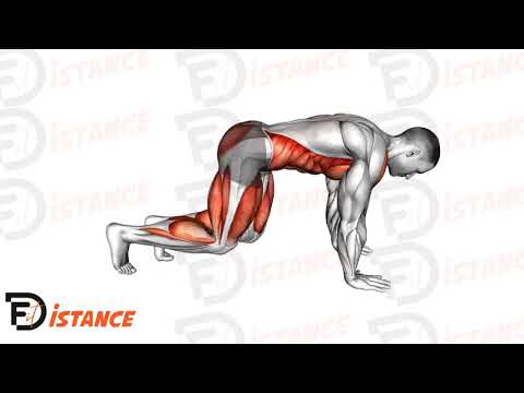 Exercice Kickback de l'ours (bear plank kickback)