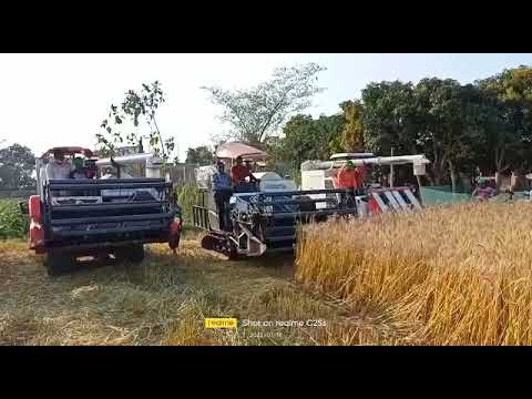 Mini Harvester machine testing in wheat field I Mini harvester I japani harvester I paddy harvester