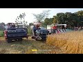 Mini Harvester Machine Testing In Wheat Field I Mini Harvester I Japani Harvester I Paddy Harvester