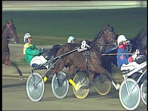 Trotto 11/12/2016 - 7ª corsa