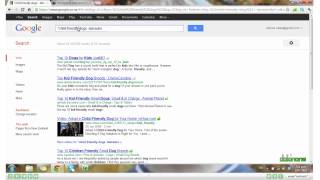 Google Search