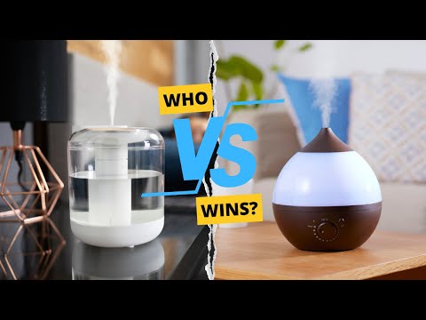 Evaporative Vs Ultrasonic Humidifiers: Which One Wins?
