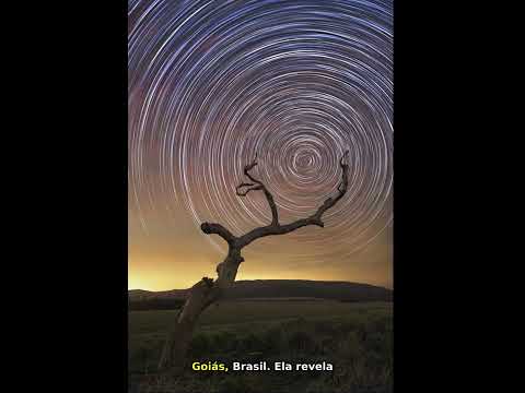 Estrelas no Cerrado: A Dança do Polo Sul