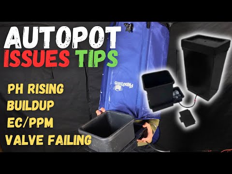 Autopot Problems? Here’s Some Tips to Help You Thrive