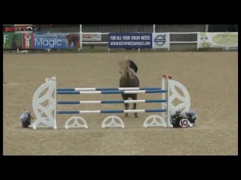 Chepstow CSI** 2016 - CSI2* Small Tour 1.30m