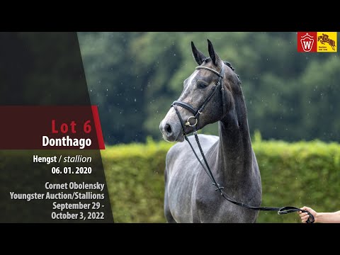 Cornet Obolensky Youngster Auction Lot 06 Donthago Hengst v. Diamant De Semilly - Cornet Obolensky