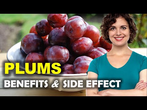 Plums Benefits and Side Effects, Is it good to eat plums everyday?