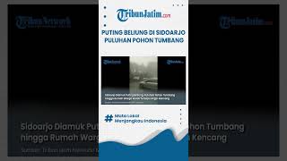 Download lagu #shorts  PUTING BELIUNG KEPUNG SIDOARJO, Puluhan Pohon Tumbang hingga Rumah Warga Rusak mp3