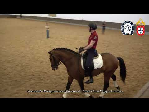 230417 6 Proj Ensino APSL&FEP - Francisco Calhandro com Principe