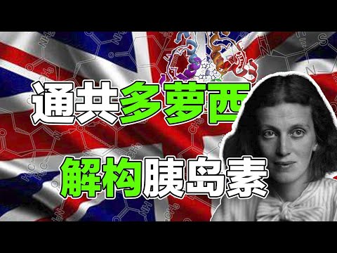英国首相府通共之谜？【非典型科学家】9#多萝西