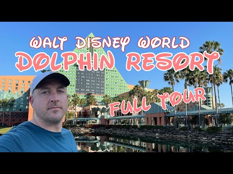 image-How much does it cost to swim with dolphins at Disney World?