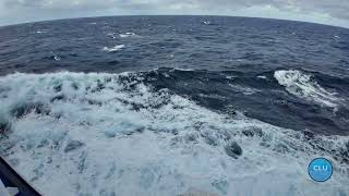 Sailing the Atlantic: Secrets and Splendors of the Island Princess Cruise Ship Voyage