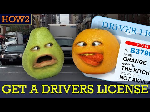HOW2：如何考取駕照! (HOW2: How to Get a Drivers License!)