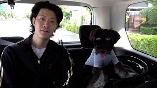 友達の犬と旅行【ちた】