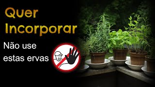 Você quer Incorporar❓ então evite estas ERVAS🌿