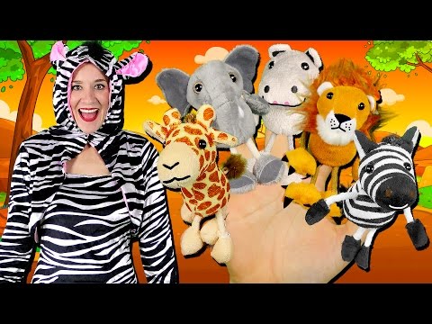 Safari Animals Finger Family Song | Elephant, Lion, Giraffe, Zebra & Hippo! Wild Animals for kids