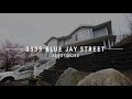 3355 Blue Jay Street Video