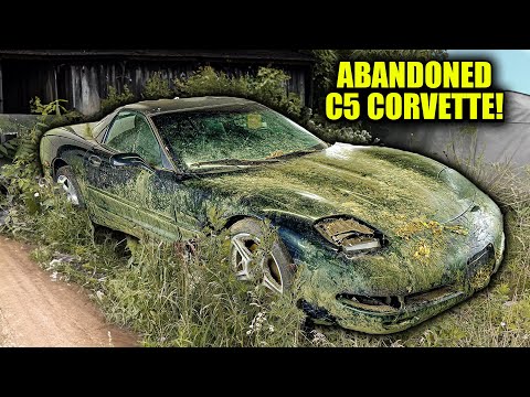 Thumbnail for First Wash in 12 Years: ABANDONED C5 Corvette | Car Detailing Restoration by SEAT, video, Corvet, WiLL, Corvett, Jeep, Car, Vehicle, vide