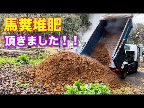 堆肥化した馬糞の使い方は？肥沃な作物を育てるための利点とヒント  庭園