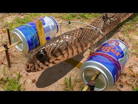 Easy Snake Trap - DIY Snake Trap Technology using Tiger Cans  #LOWI
