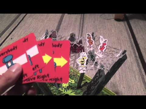 Video Review (with Amelia's Demonstration)