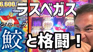【スロット最新機種】ラスベガス本番カジノ実況/ 鮫（サメ）との格闘が始まる?!
