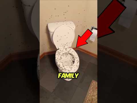 They found the house full of spiders 😰