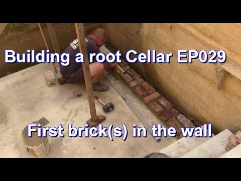 Building a root Cellar EP029 - First brick(s) in the wall