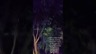 Download lagu Suara Musang atau Luak Nangis Ingin Mencari Jodoh mp3 Download lagu Suara Musang atau Luak Nangis Ingin Mencari Jodoh mp3