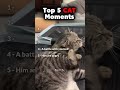 Top 5 CAT Moments 🤣🤣☠️ | Waiting for last