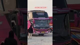 Download lagu Telolet Basuri Bus #basuri #shorts mp3