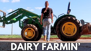 Download lagu Dairy Farmin' 🥛 a day at the dairy mp3